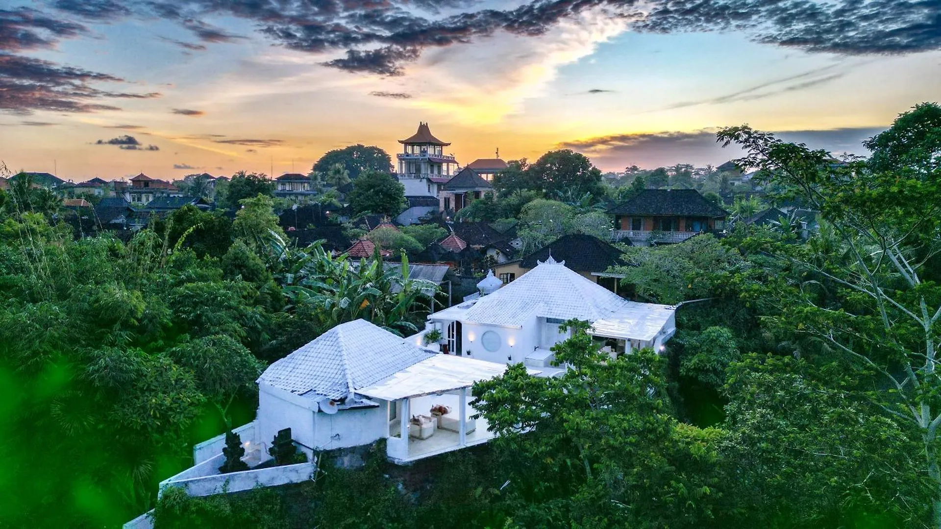 Exclusive 3Br Celebrity Villa - Ice Bath - Sauna - Jacuzzi - Outdoor Gym - Bbq - Stunning Rice Field & Jungle Views Ubud   Ubud (Bali)